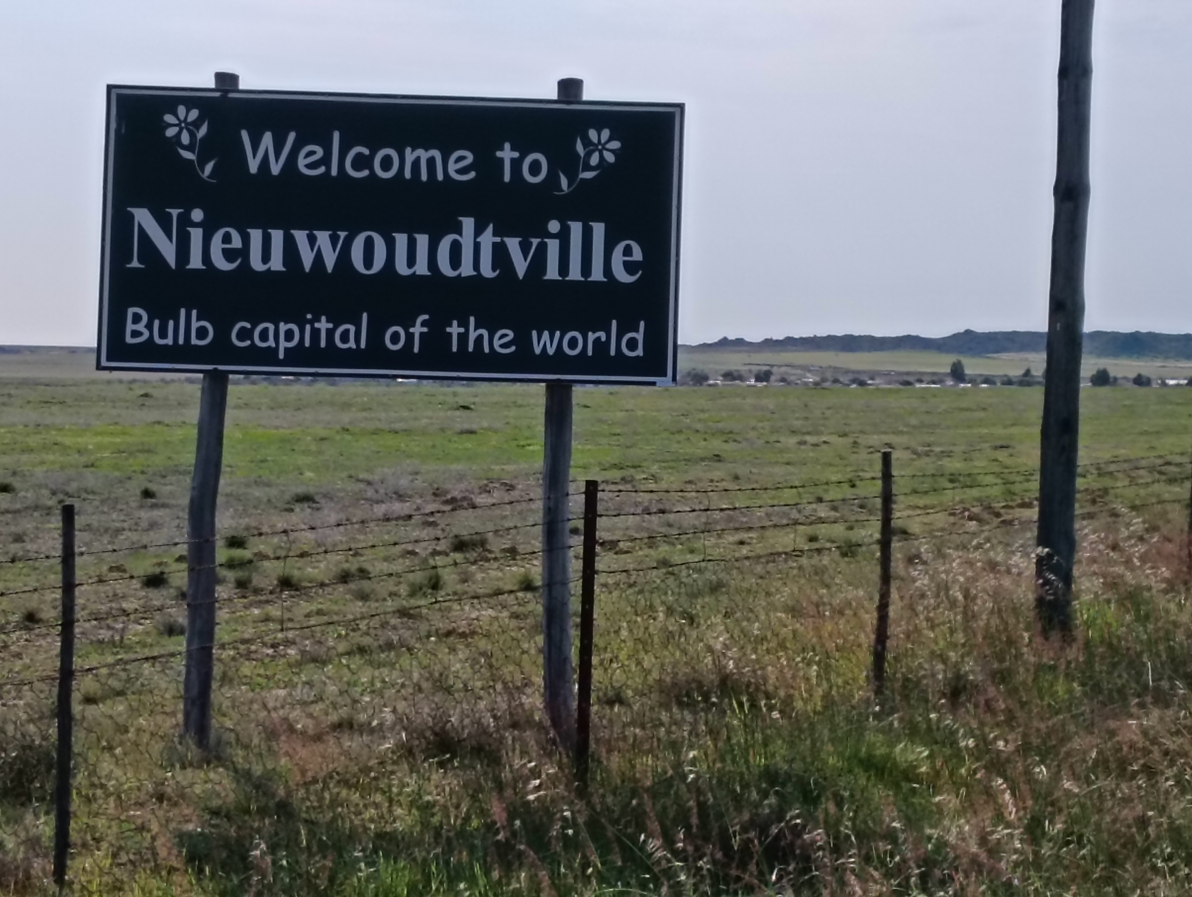 Nieuwoudtville - Bulb Capital of the World